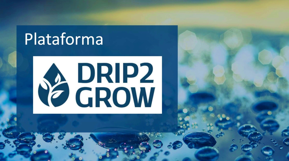 Picture of El proyecto DRIP2GROW ayuda a aumentar la productividad del agua en un 30%