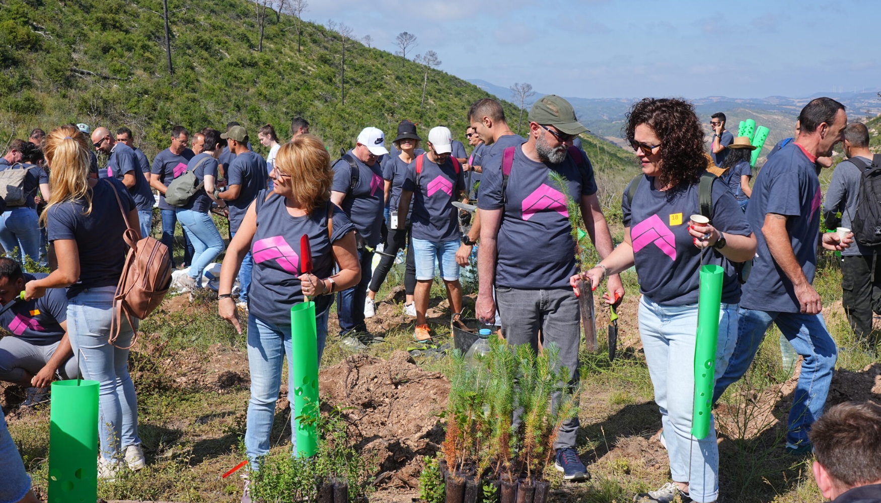 Team building en el que ms de 100 personas plantaron 220 rboles en la Sierra de Queralt
