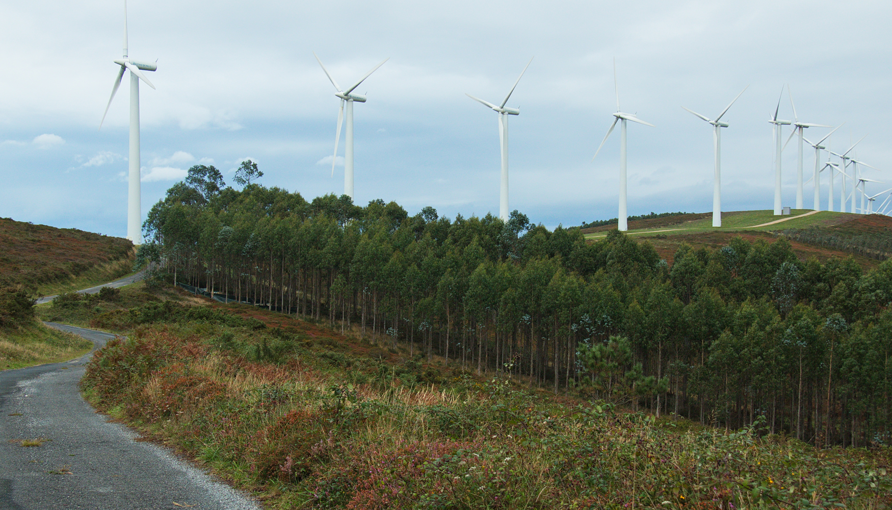 El objetivo del proyecto Biowind es incrementar la aceptacin social de la energa elica en las regiones europeas mediante una planificacin que se...