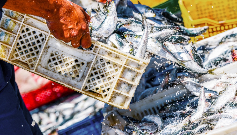 Foto de Andaluca export 14.630 toneladas de productos pesqueros en el primer trimestre del ao