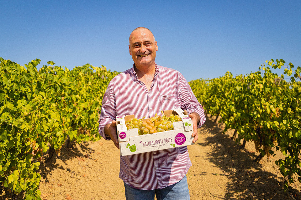 Mrio Rodrigues, diretor executivo da Frutalmente