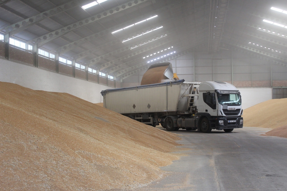 En cuanto a la calidad del grano en la campaa, se puede concluir que est siendo muy dispar segn las distintas zonas productoras...