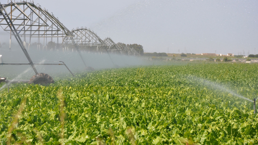 Aplicar un impuesto adicional al consumo de agua no ayuda a los agricultores