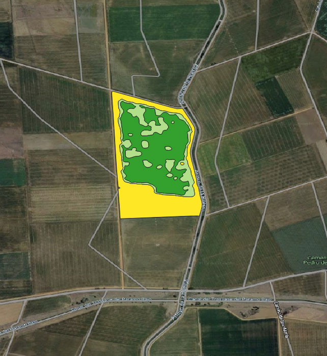 Figura 2. Mapa de prescrio de fertilizao, utilizado num terreno comercial, elaborado com base num histrico de imagens de satlite...