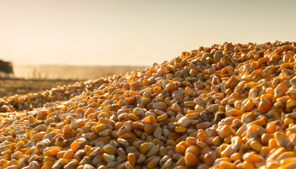 Foto de A produo de bioetanol de milho impulsiona a sustentabilidade e a diversificao econmica em reas rurais