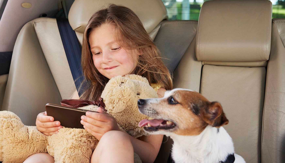 Fotografia de Todo lo que hay que saber para proteger correctamente a los perros en los viajes de verano en carretera