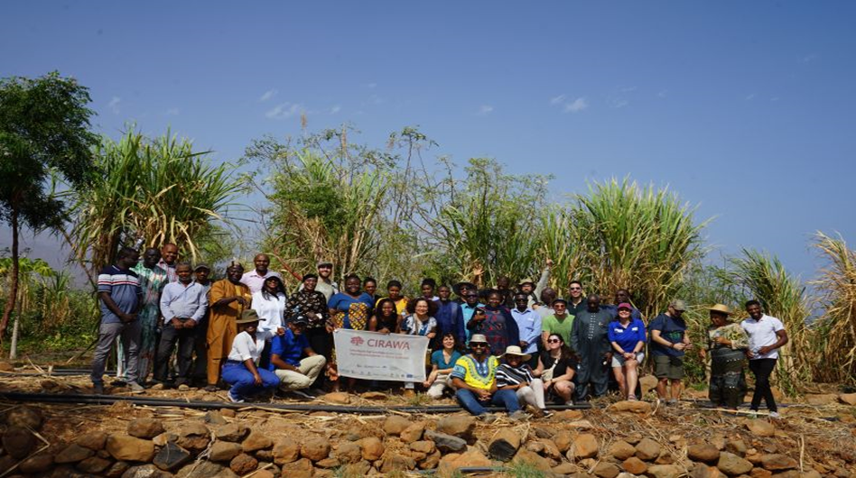 Figura 3. Visita de campo de los socios de CIRAWA en Santo Antao (Cabo Verde)