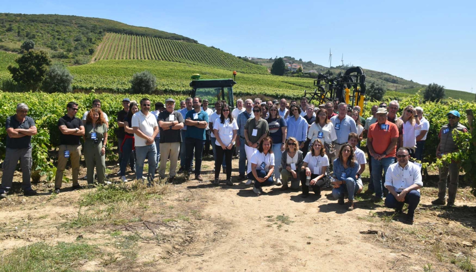 'Dia de campo' dedicado a demonstraes tecnolgicas na viticultura