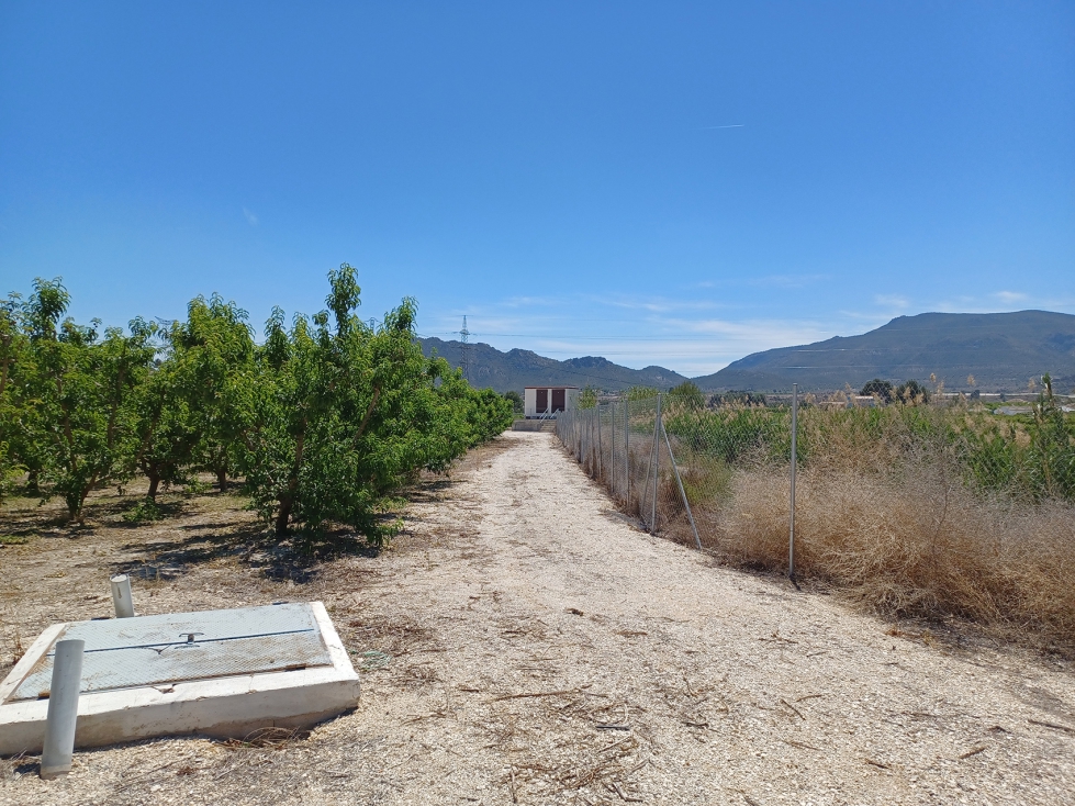 Las nuevas infraestructuras permitirn a los regantes dejar de consumir energa de la red elctrica...