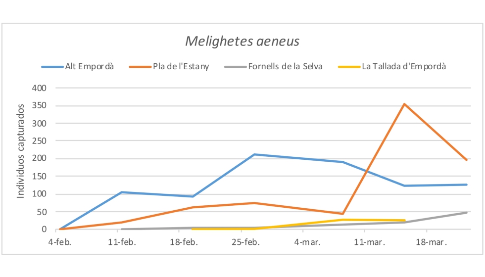 Figura 4. Curva del nmero de capturas de Melighetes sp. en las diferentes localidades durante la campaa 2021