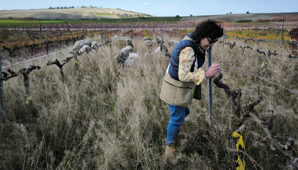 La investigadora del IFAPA de Jerez de la Frontera, Beln Puertas