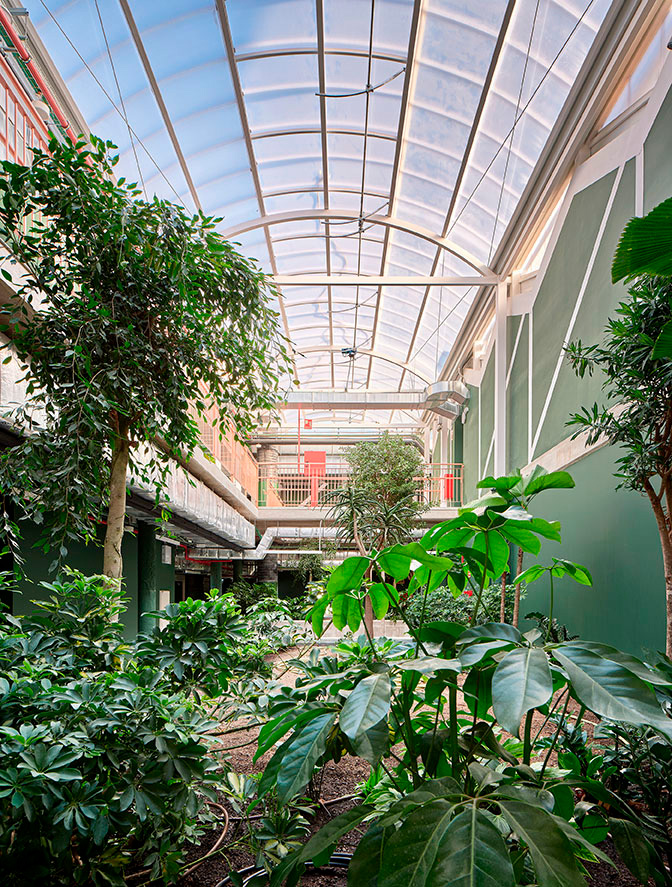 El colegio incorpora elementos naturales como jardines interiores e invernaderos