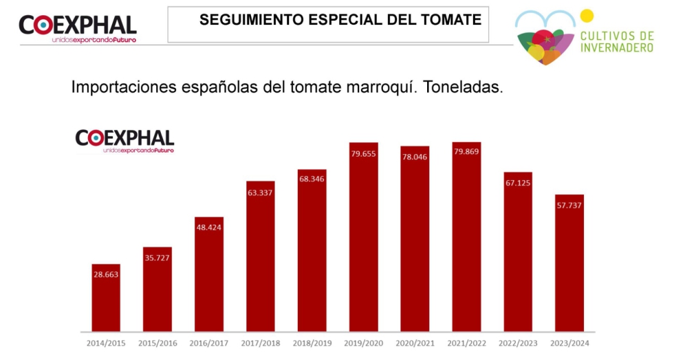 Importaciones espaolas de tomate marroqu. Fuente: Coexphal