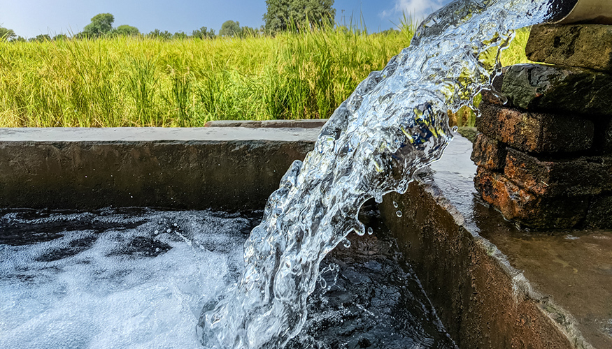 Foto de Un proyecto liderado por el CSIC emplear inteligencia artificial para mejorar la gestin del agua