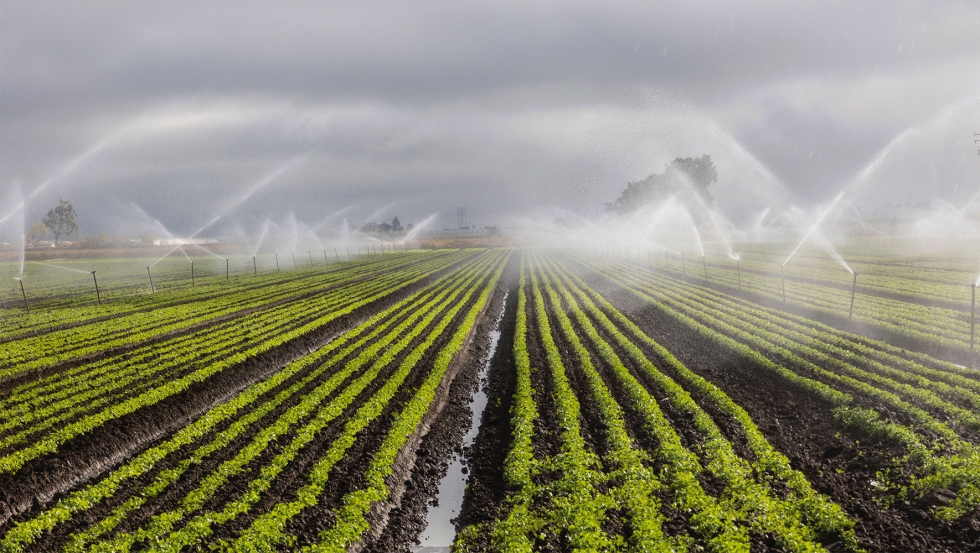 El proyecto iRAIN investiga nuevos sistemas para regenerar aguas residuales para usarlas de forma segura en la agricultura...