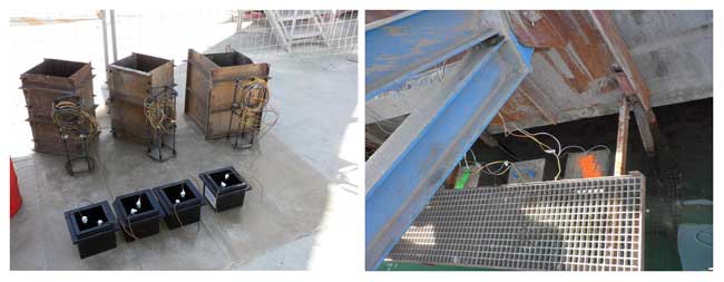 Figura 4. Moldes para las probetas de hormign (arriba) y probetas colocadas en las instalaciones cyes en el puerto martimo de Sagunto (abajo)...