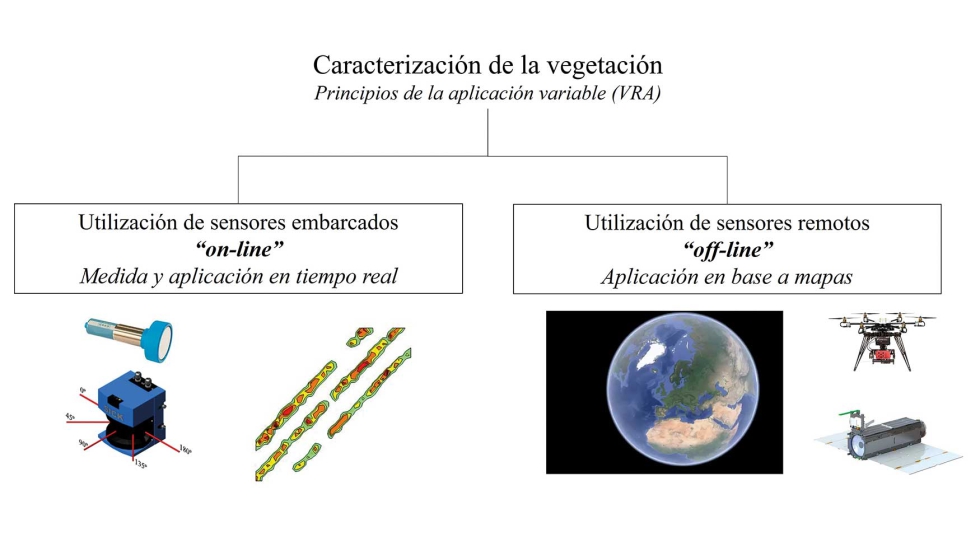 Figura 1...