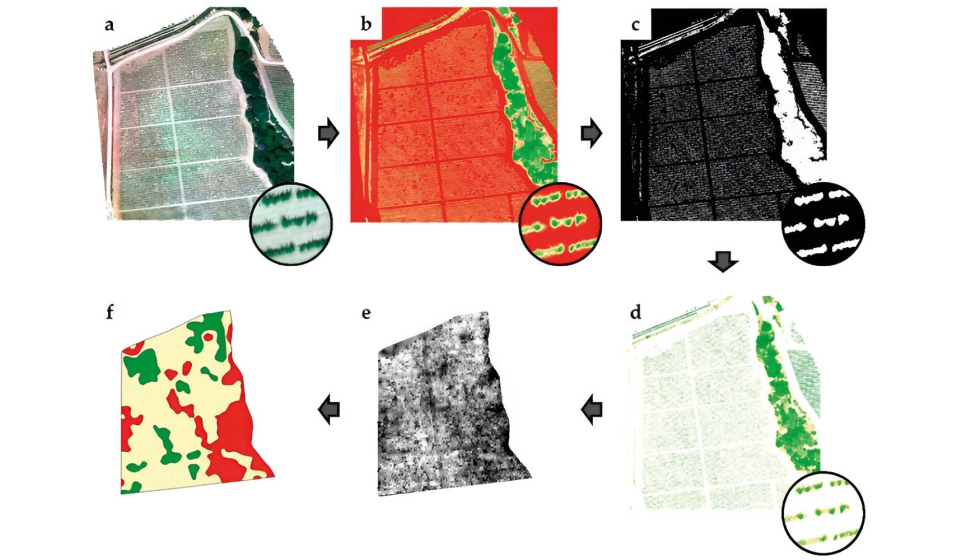 Figura 5. Metodologa propuesta por Campos et al...