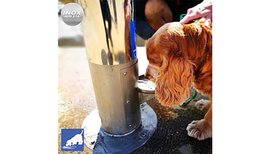 Las mascotas, como los perros, necesitan acceso regular a agua fresca para mantenerse saludables...