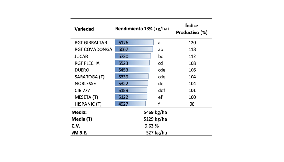 Cuadro 15. Resultados de Ensayo de variedades de cebada de ciclo largo ms sembradas. Zael (Burgos)