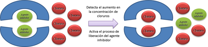 Figura 1. Proceso de liberacin inteligente del agente inhibidor de la corrosin frente a un aumento de la concentracin de iones cloruros...