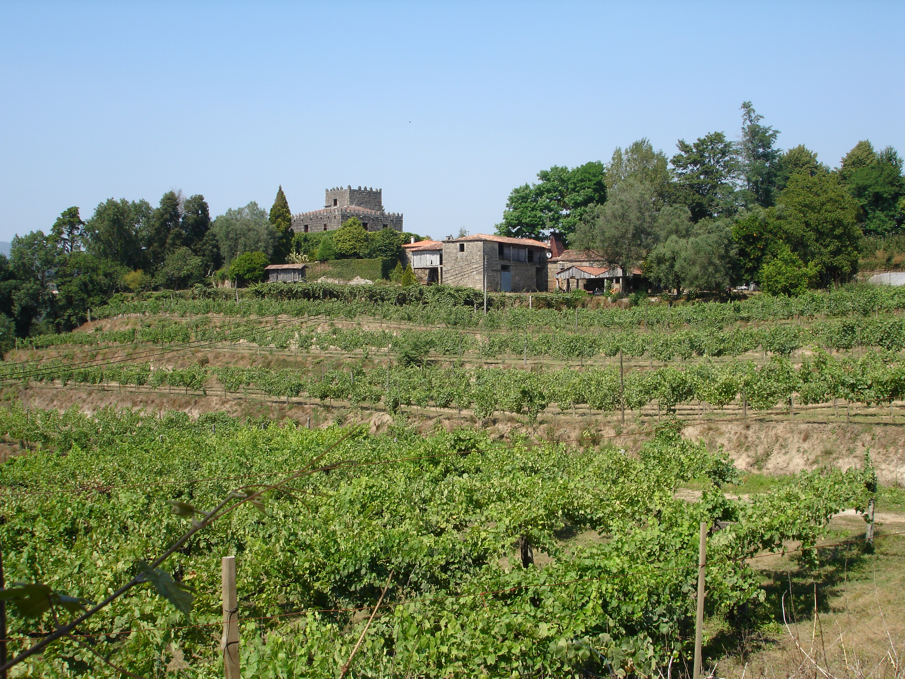 Quinta de Corutelo. Fotografia: CVRVV