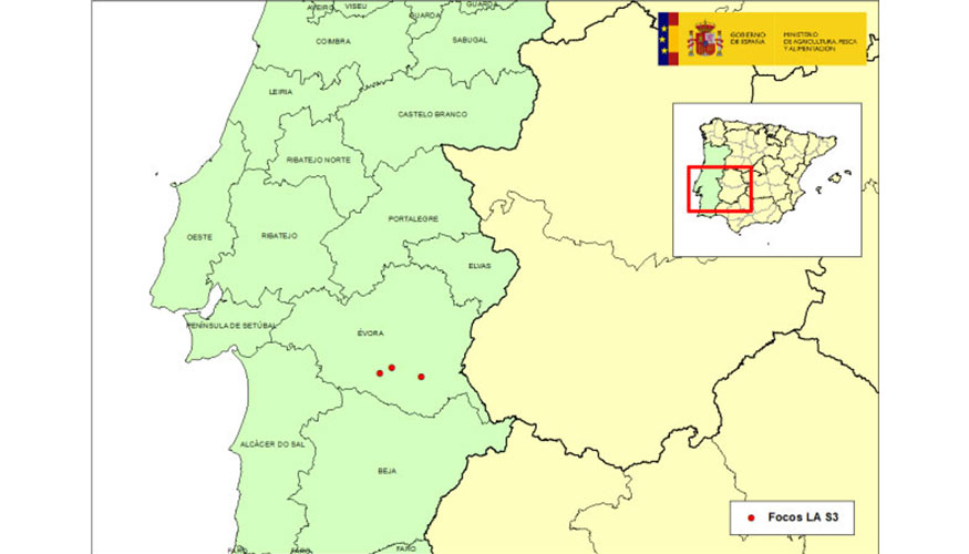 Mapa de los focos del serotipo 3 de la lengua azul en Portugal