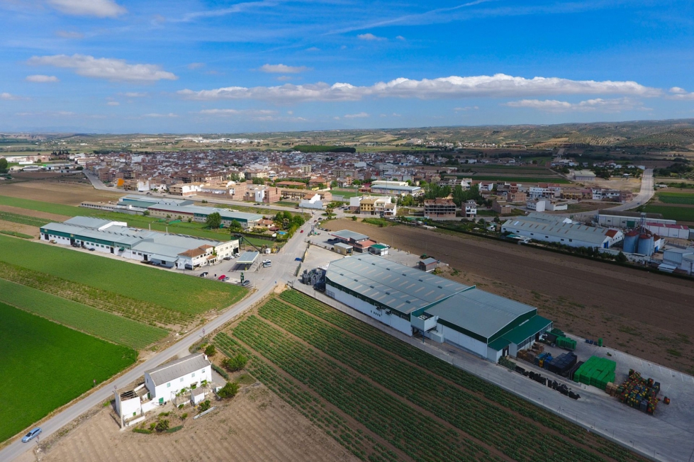 Foto de Granada ya tiene la mayor cooperativa de esprrago verde de Europa