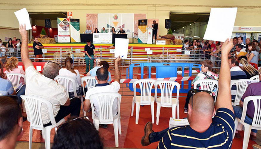 Subasta de Rasa Aragonesa realizada en el ao 2023