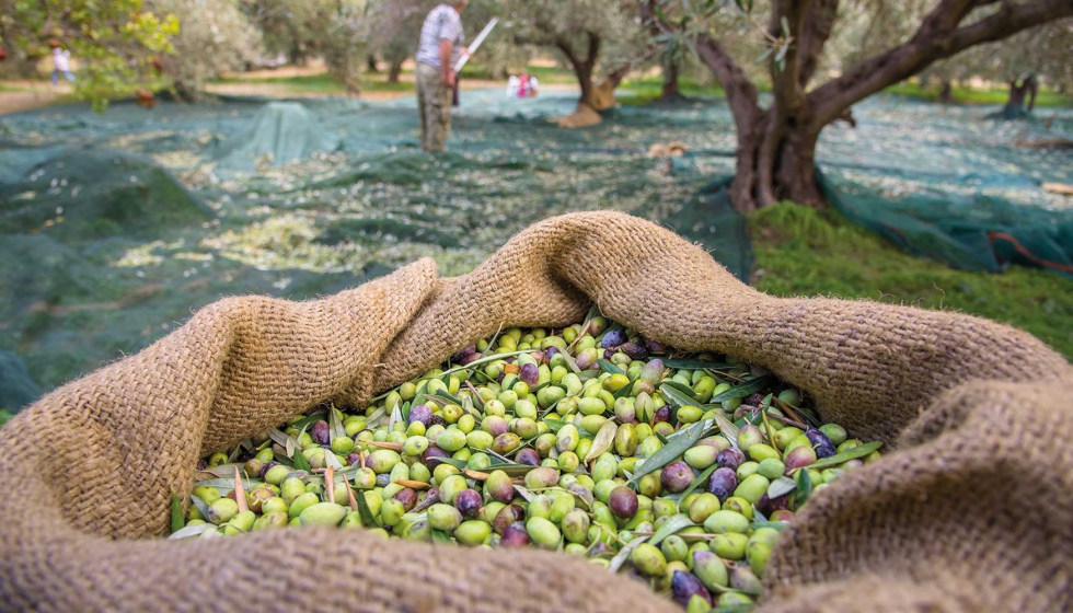 Foto de Agroseguro muestra las novedades de los seguros del olivar