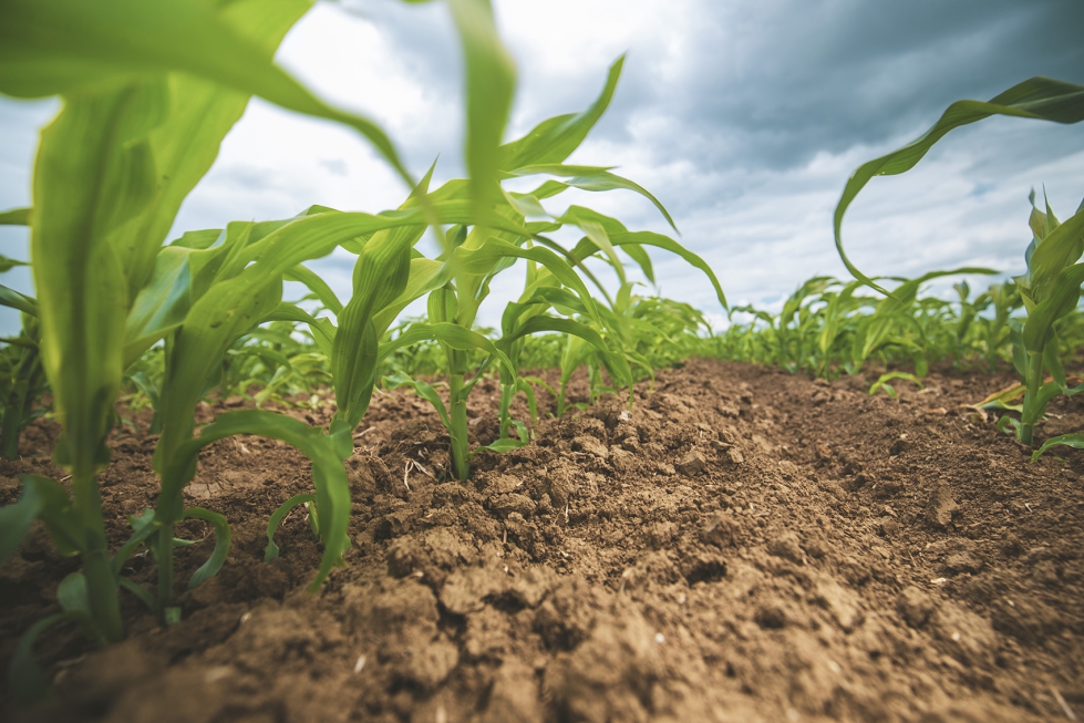 El lema del Congreso de este ao es 'Tecnologa para aprovechar todo el potencial de los suelos agrcolas'