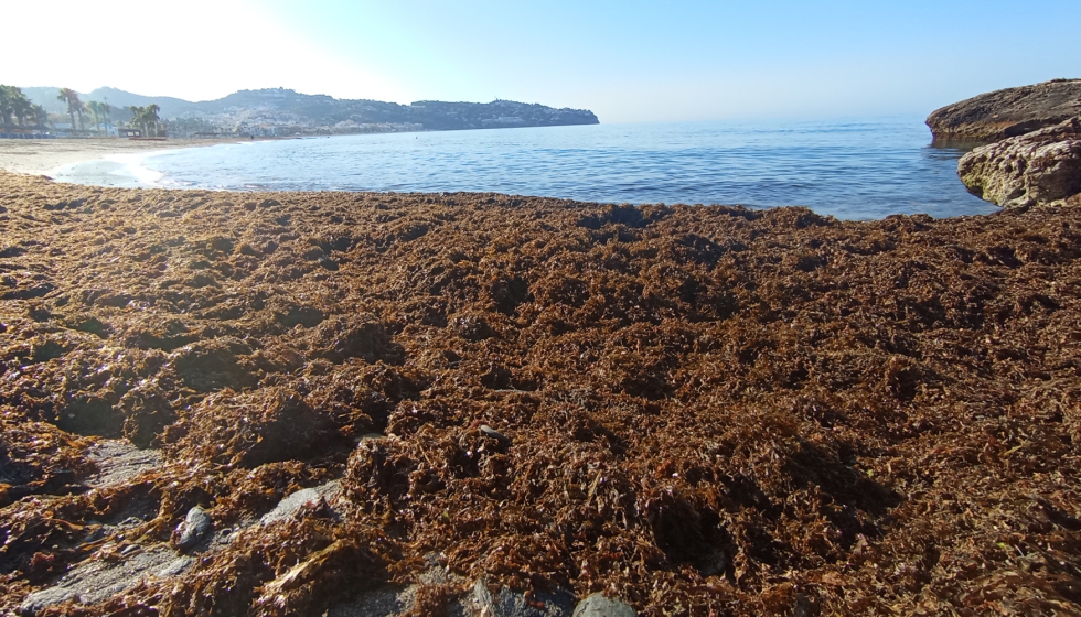 Ruguplas se desarrolla con la colaboracin de la Fundacin Biodiversidad del Ministerio para la Transicin Ecolgica y el Reto Demogrfico...