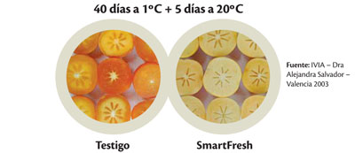 40 dies a 1 C + 5 dies a 20 C