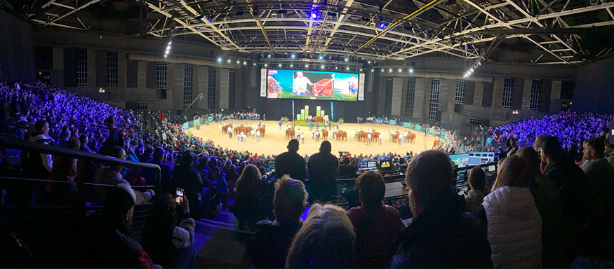 Vista panormica del Zenith de Auvergne, en las instalaciones del Sommet, con la celebracin del Concurso Nacional de Raza Salers...