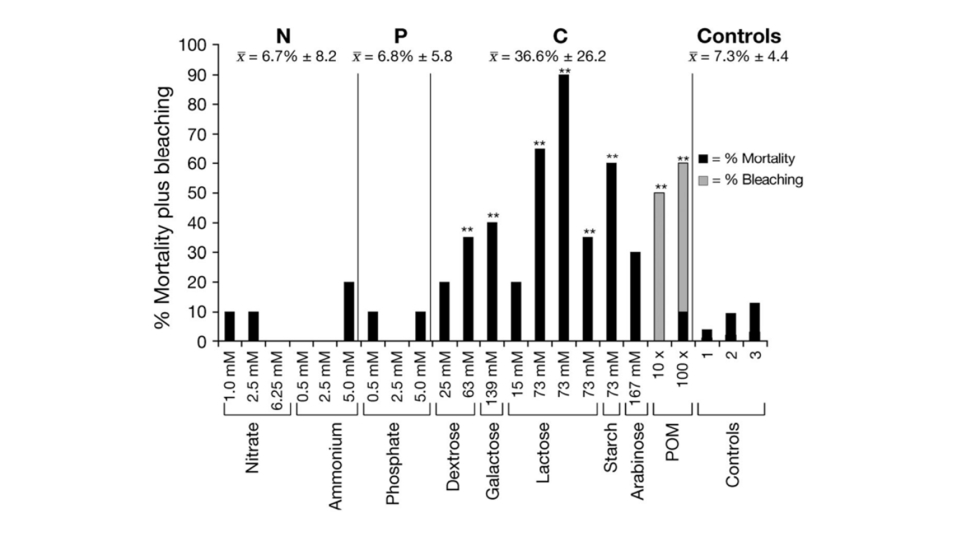 Imagen representativa de mortalidad y blanqueamiento de corales por diferentes nutrientes