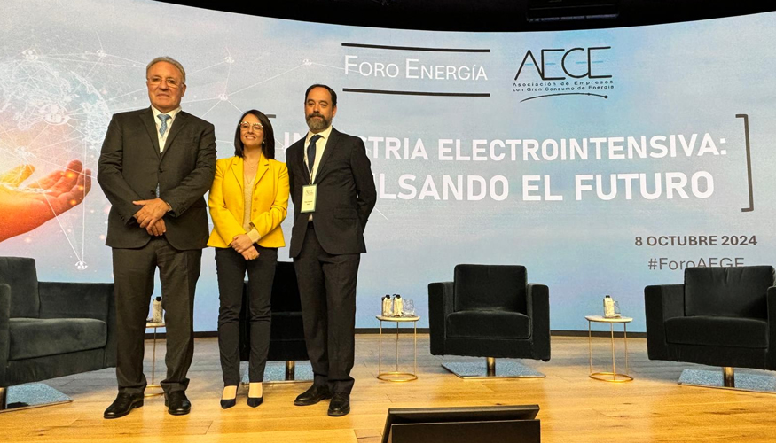 La secretaria de Estado de Industria, Rebeca Torr, posa junto a Jos Antonio Jainaga y Pedro Gonzlez, presidente y director general de AEGE...