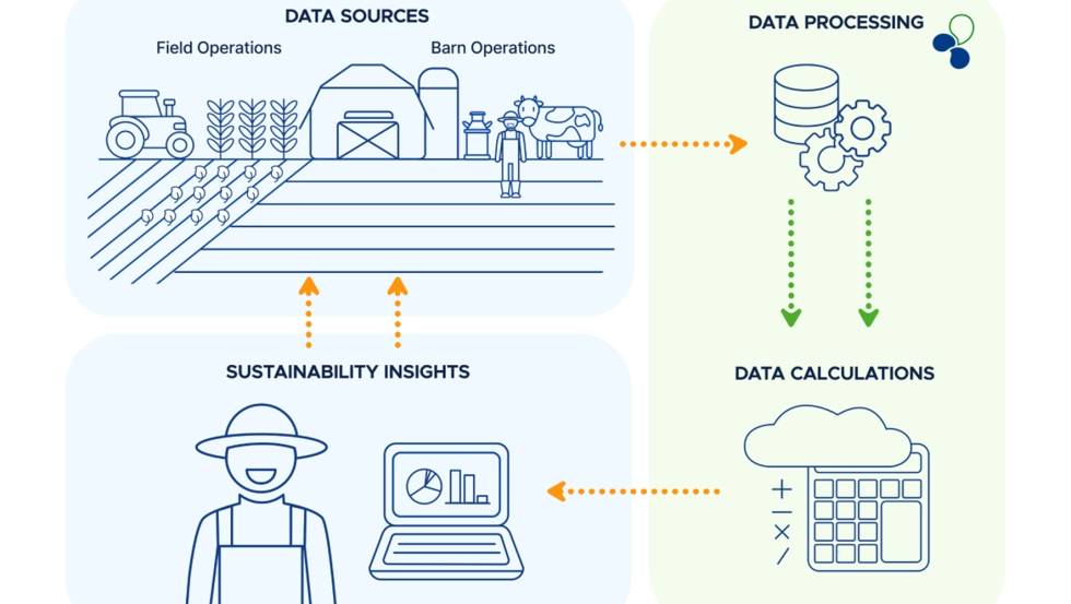 Buscando soluciones sostenibles en la gestin del dato