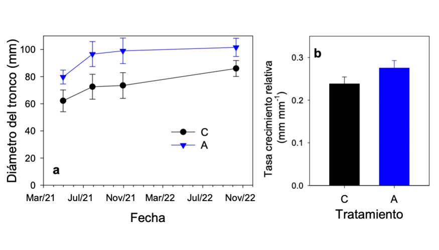 Fig. 2. Evoluo do dimetro do tronco (a) e taxa de crescimento relativo (b) em pistcios submetidos a diferentes tratamentos de irrigao...