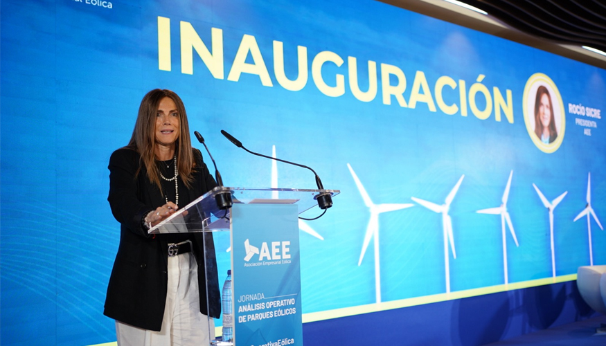 Roco Sicre, presidenta de AEE, durante la inauguracin de la jornada