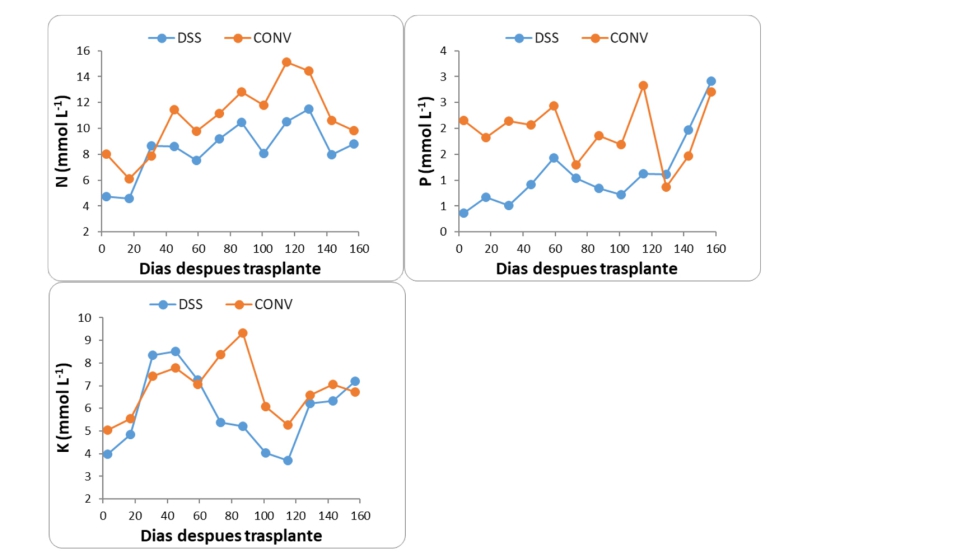 Fig. 1. Evoluo sazonal da concentrao dos nutrientes N, P e K na soluo nutritiva nos tratamentos convencional (CONV) e DSS...
