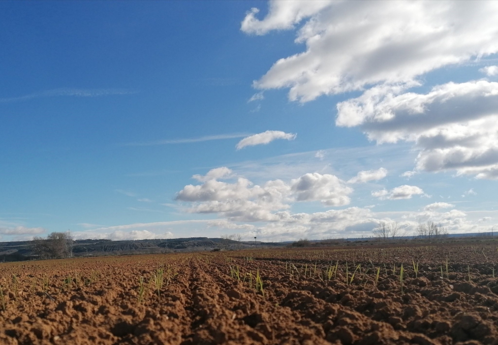 Desde el ITACyL, como integrante del Proyecto WalNUT...