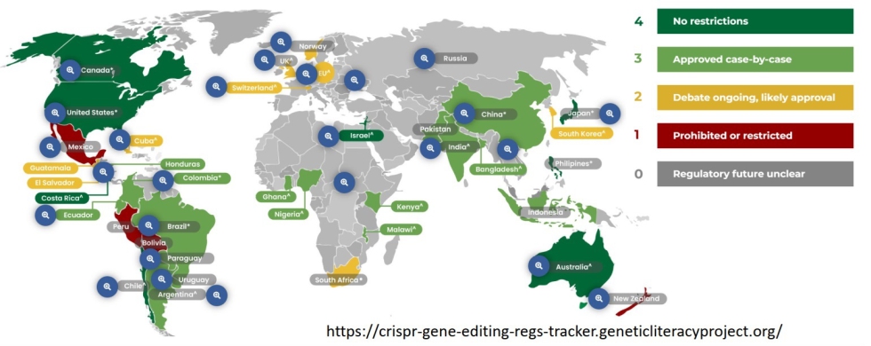 Infogrfico sobre la situacin jurdica de las NGTs en el mundo