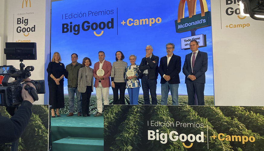 Entrega de premios de los I Premios Big Good