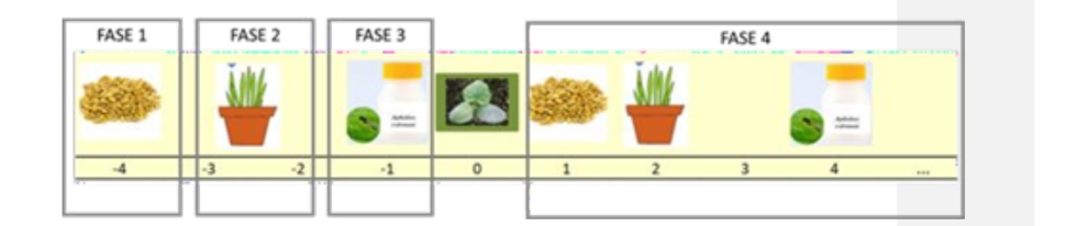 Figura 2. Calendario de la estrategia de plantas banker