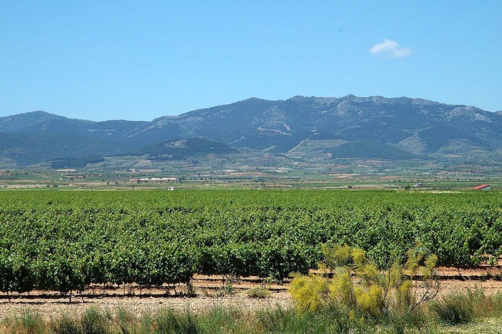 Los vinos Urbezo abarcan 230 hectreas de terreno en Cariena (Zaragoza) y cuentan con unas condiciones climticas y geogrficas excepcionales...