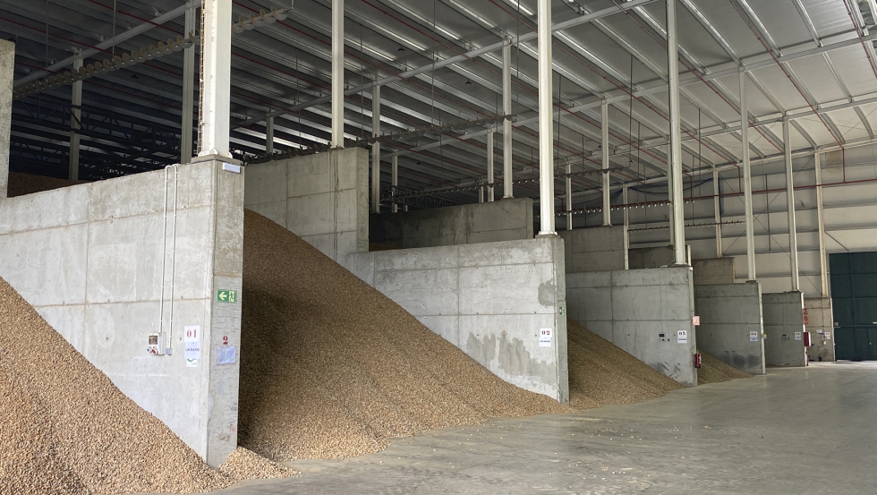 La almendra se separa por variedades en 18 silos