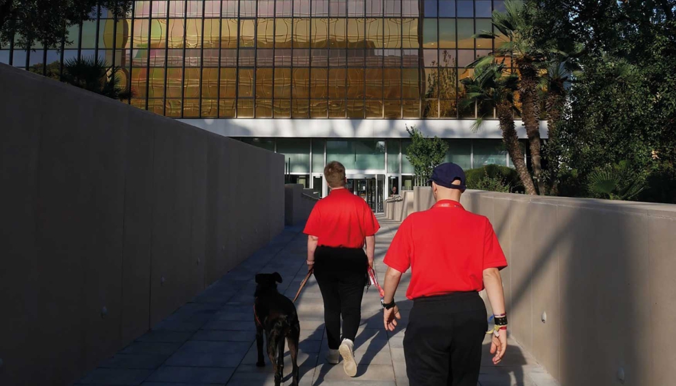 La compaa abre las puertas de sus oficinas en Barcelona a estudiantes con discapacidad intelectual para que puedan formarse como paseadores de...