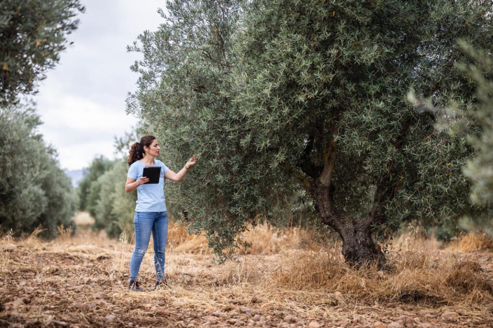 Mnica Snchez, responsable de Agronoma de Yara Iberia