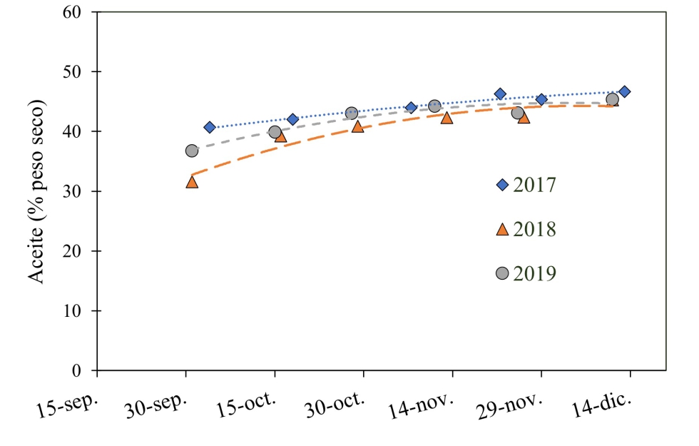 Evolucin del contenido medio de aceite sobre seco (%) en aceitunas Empeltre en los tres aos de estudio