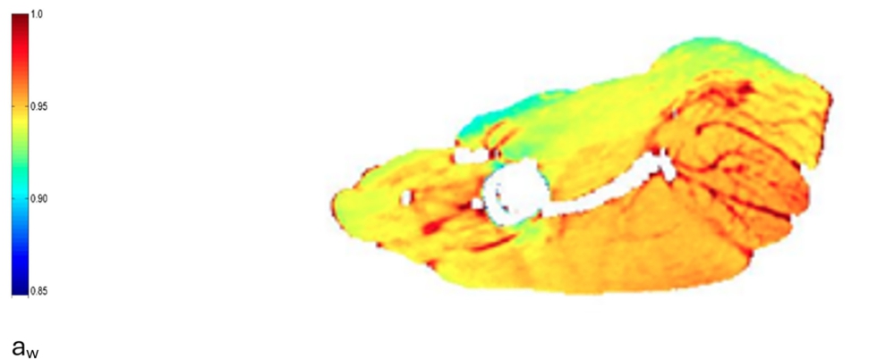 Figura 2. Imagen qumica de aw de una seccin de jamn curado